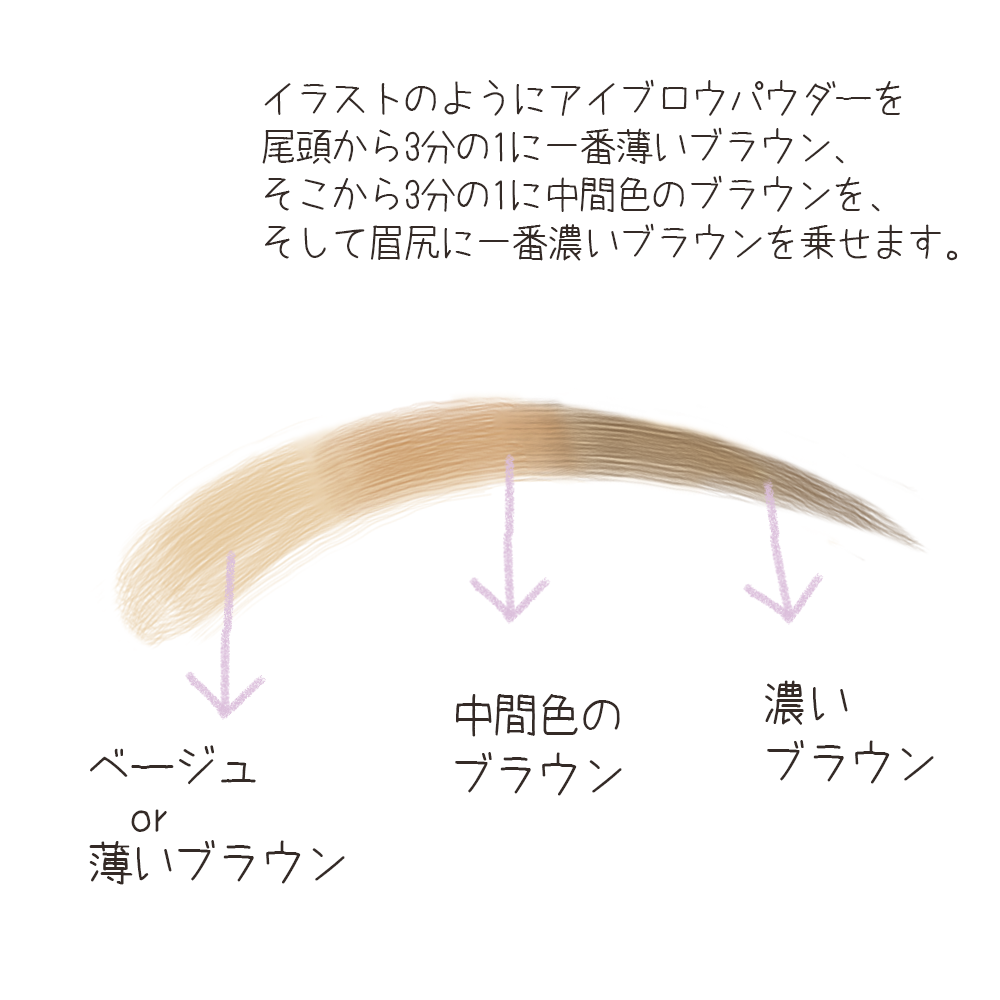 アイブロウパウダーを使った眉毛の基本的な描き方：その1【眉頭〜眉尻はグラデーションにする】