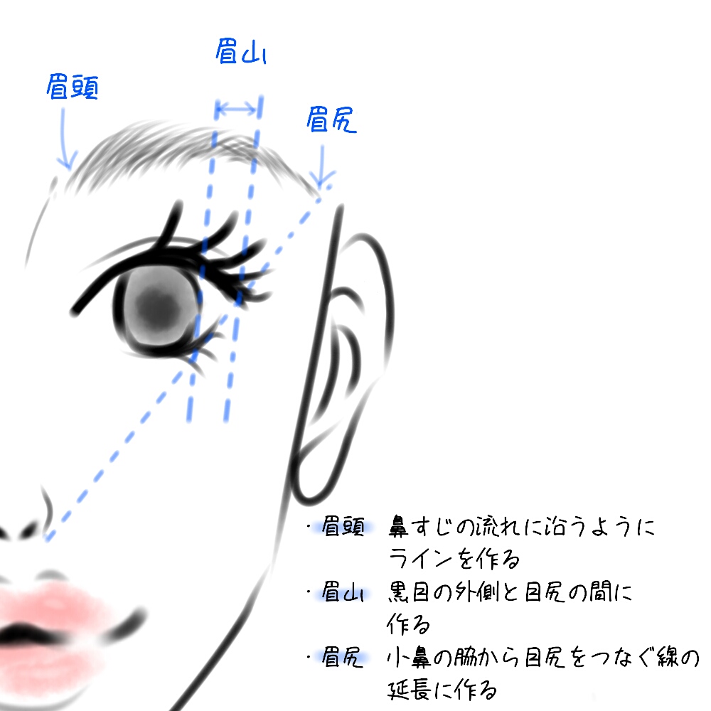 動物画像無料 無料印刷可能眉毛 書き方 イラスト