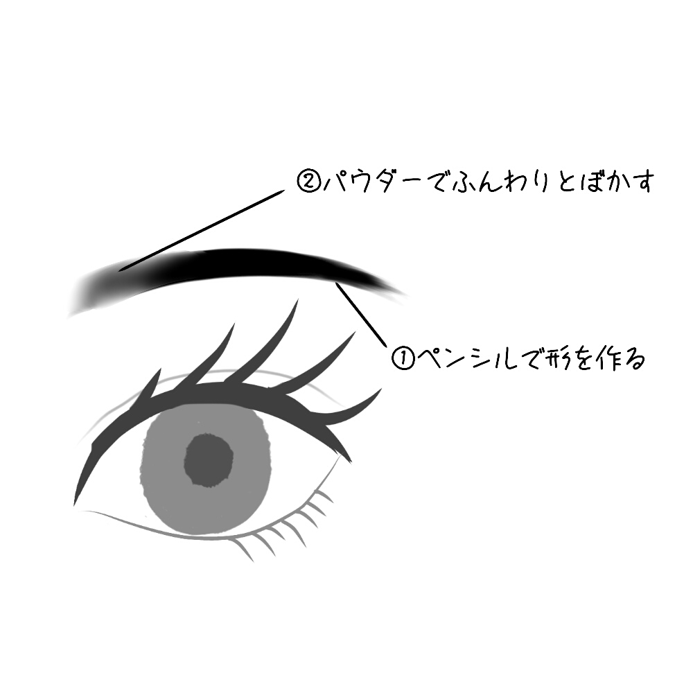 基本的な眉毛の描き方